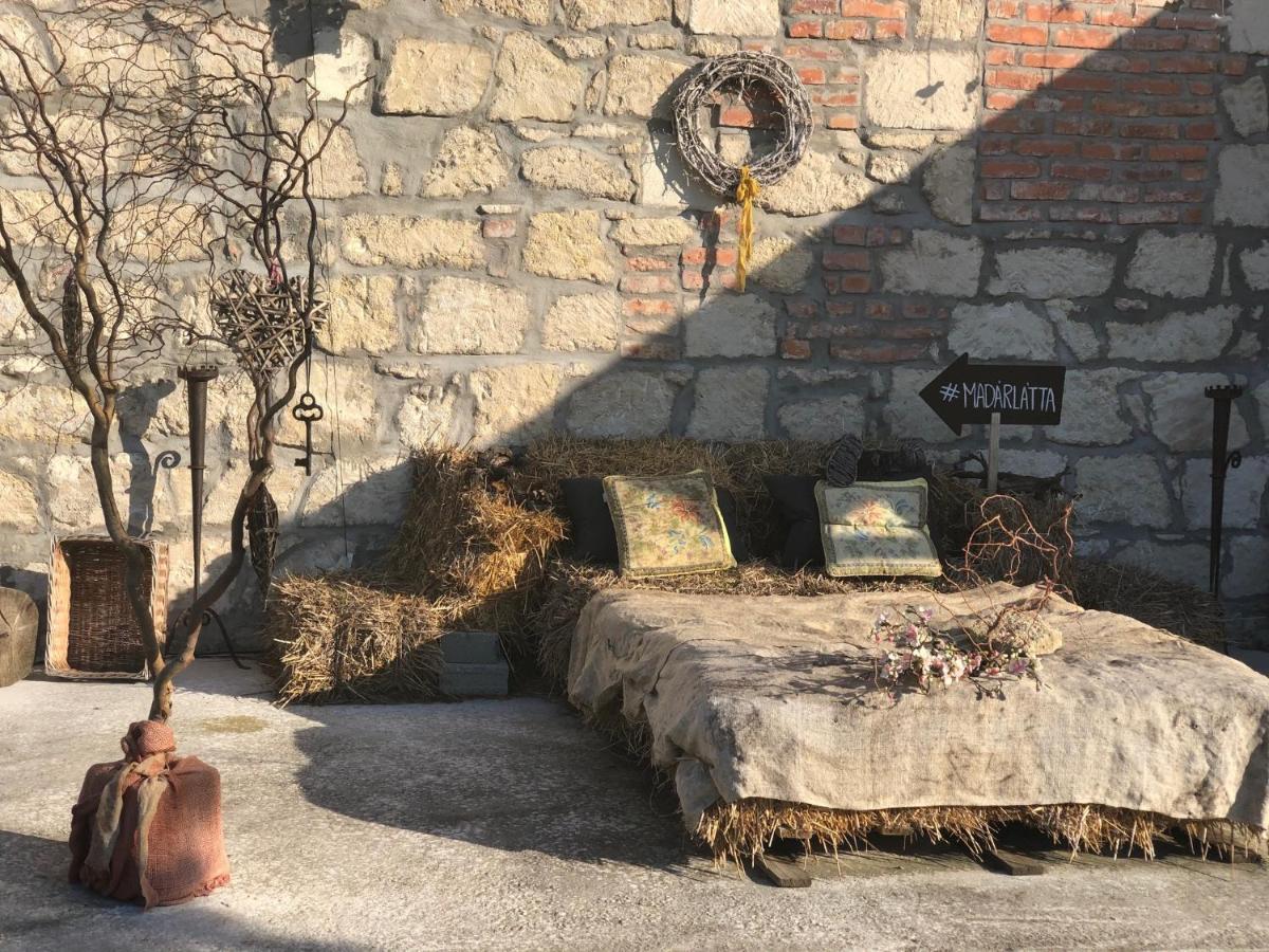 ホテル Madarlatta Vendeghaz Fertőrákos エクステリア 写真